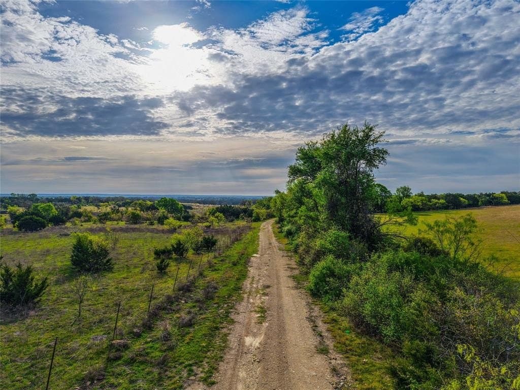 351.23 acres in Coryell County gallery image 4