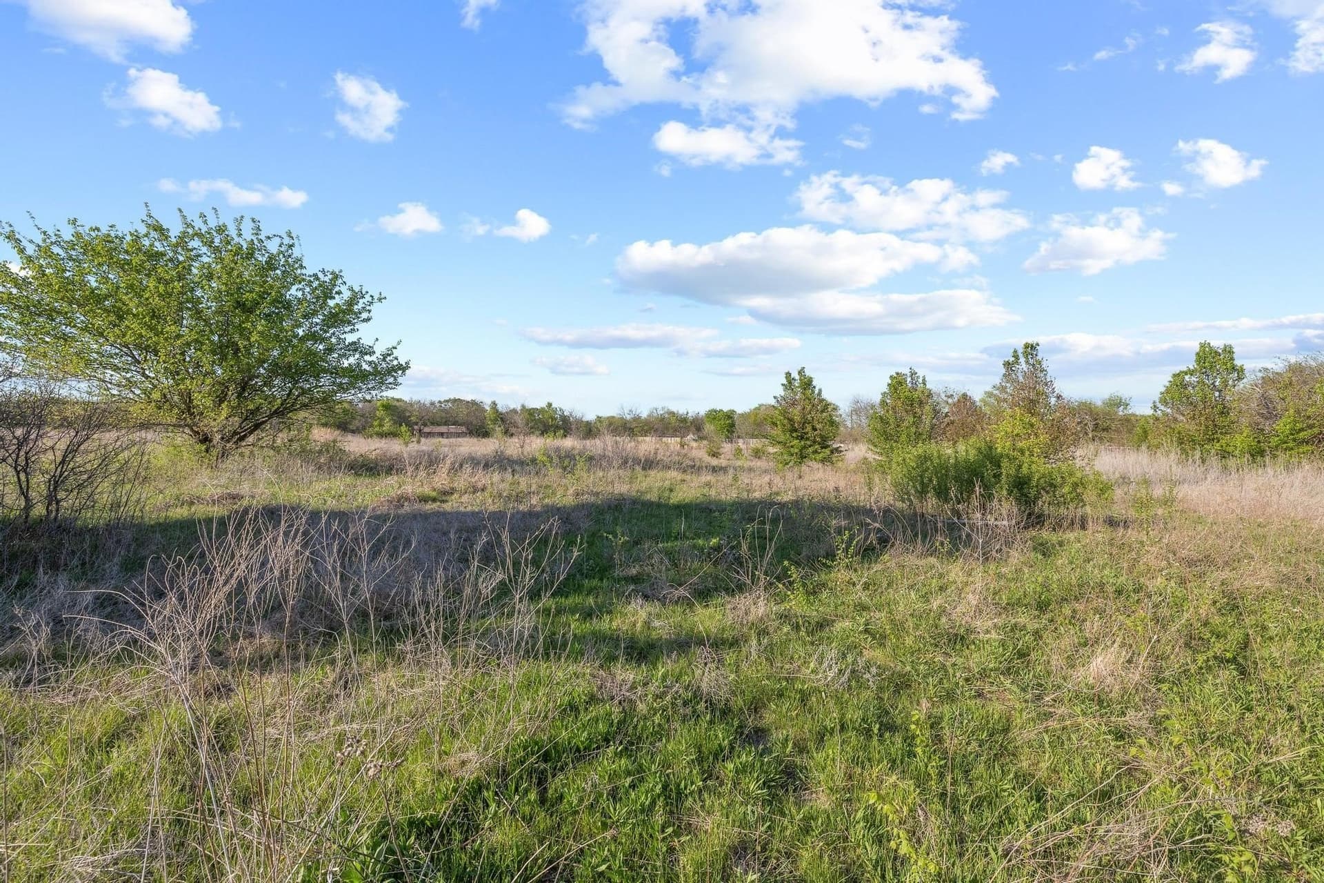 3.03 acres in Grayson County - photo 6