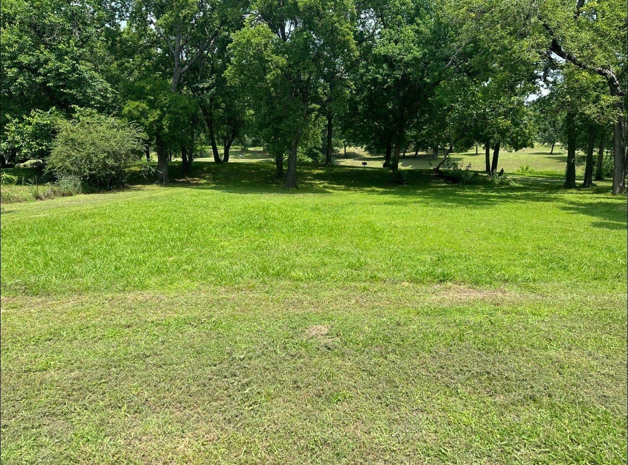 0.15 acres in Fannin County - photo 2