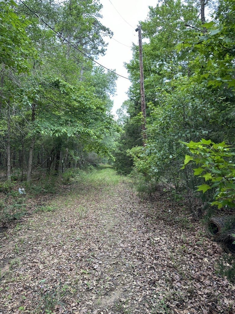 20 acres in Texas County gallery image 2
