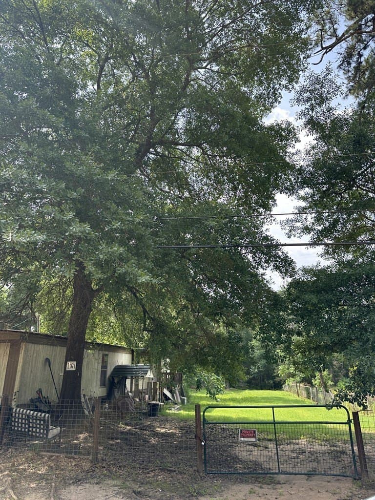 20 acres in Texas County gallery image 4
