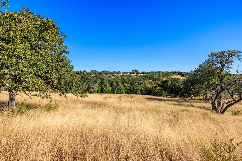 10.09 acres in Gillespie County - photo 8