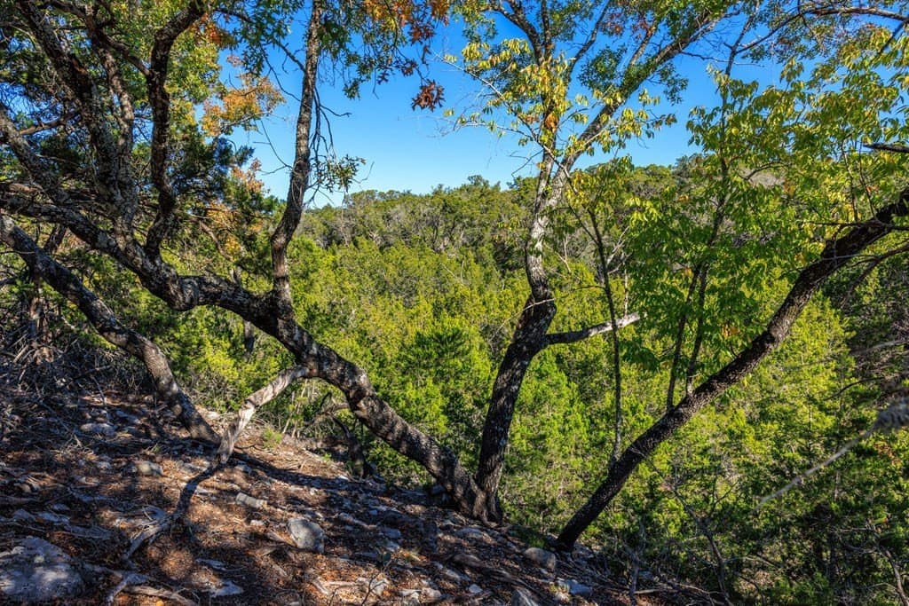 10.09 acres in Gillespie County - photo 10