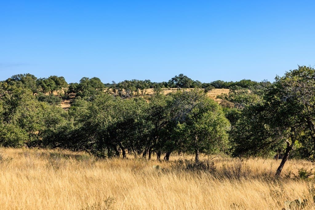 10.09 acres in Gillespie County featured view