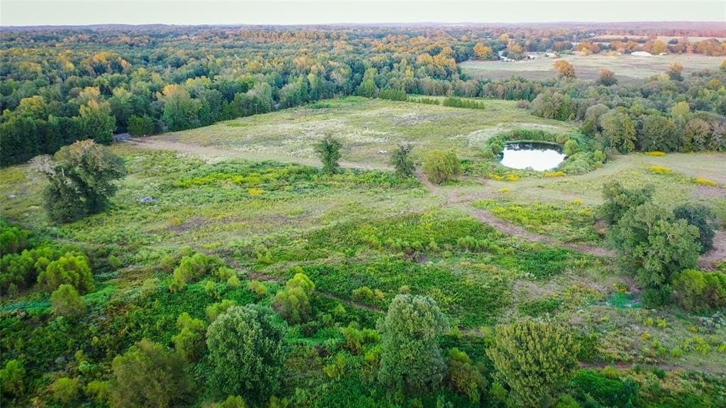 72.34 acres in Wood County gallery image 2