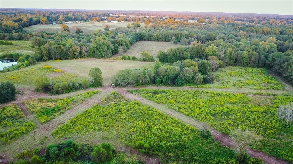 72.34 acres in Wood County gallery image 3