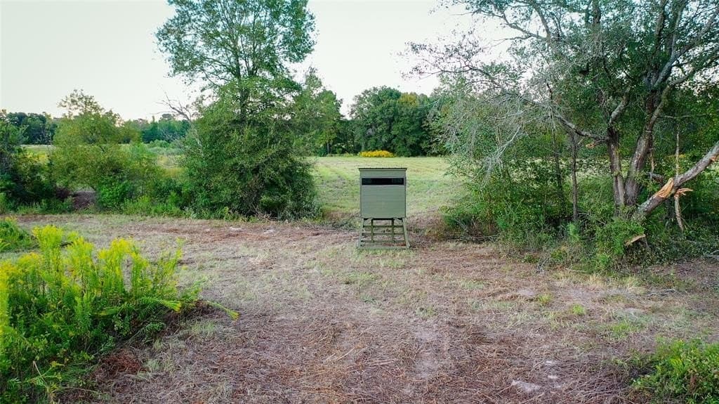 72.34 acres in Wood County gallery image 4