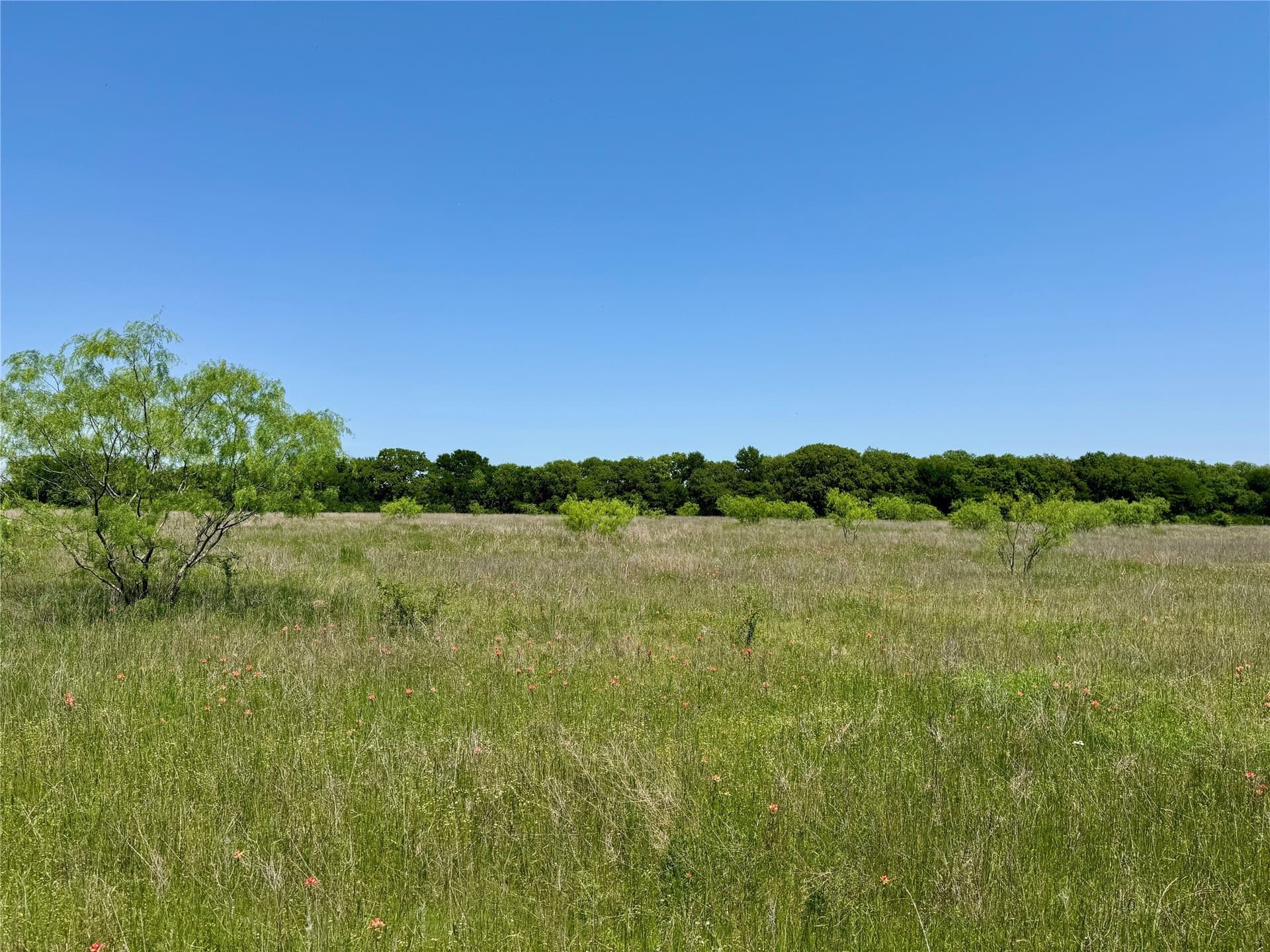 2.82 acres in McLennan County gallery image 3