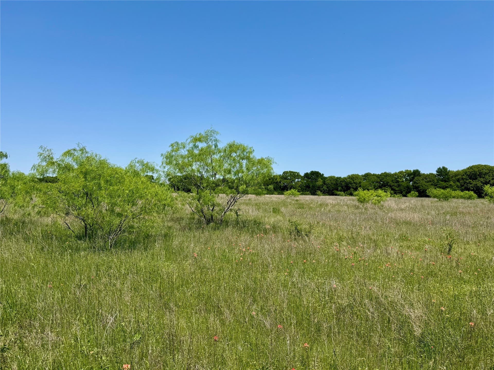 2.82 acres in McLennan County gallery image 4