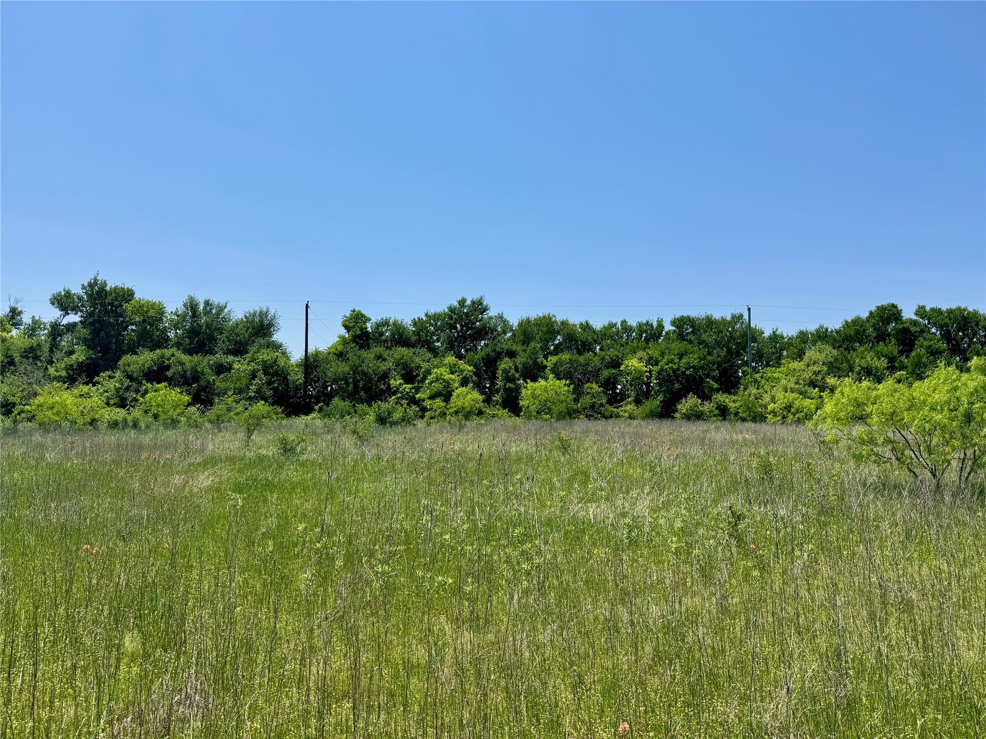 2.82 acres in McLennan County featured view