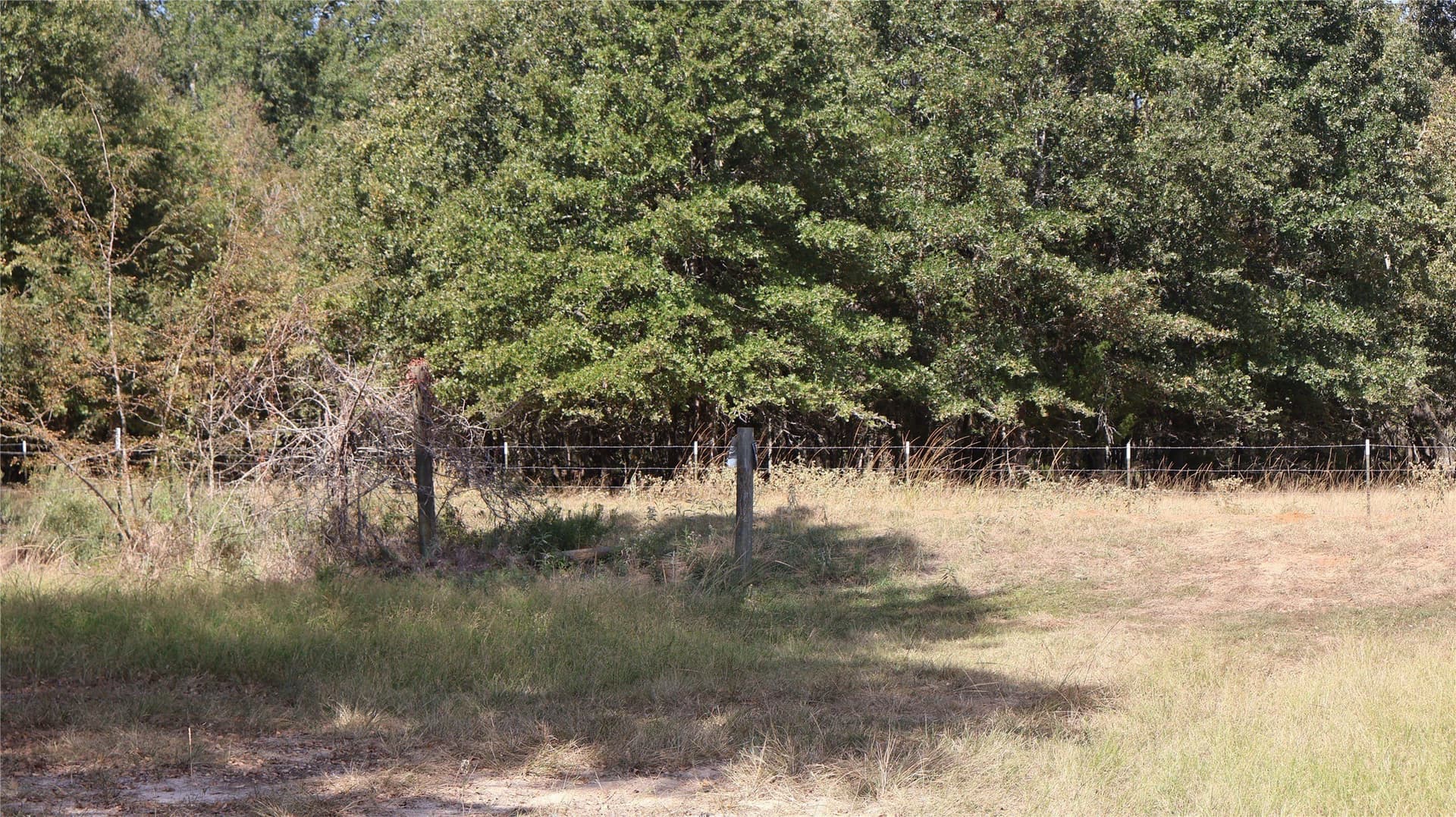 40.7 acres in Anderson County - photo 9