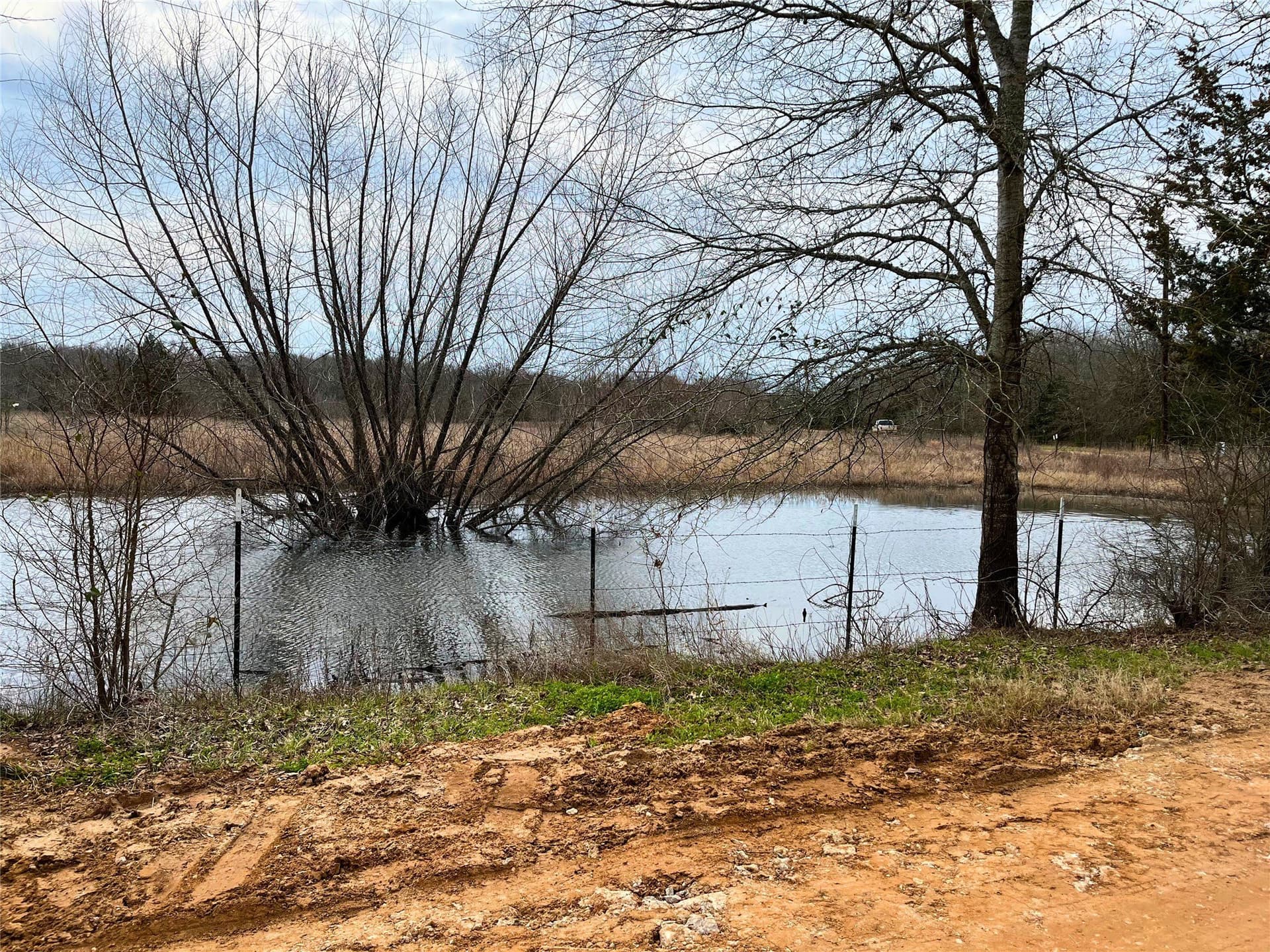 40.7 acres in Anderson County - photo 6
