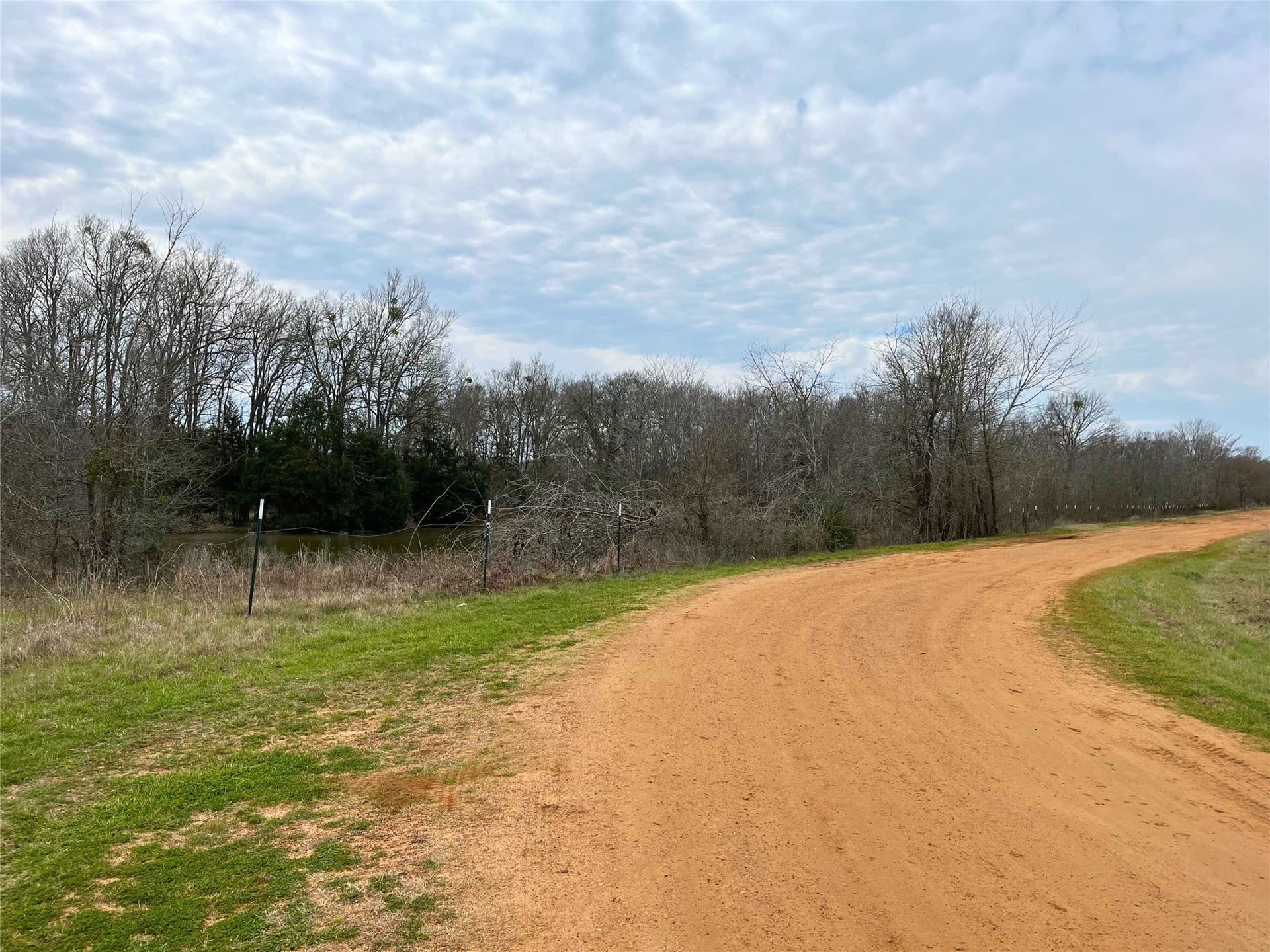 40.7 acres in Anderson County gallery image 3