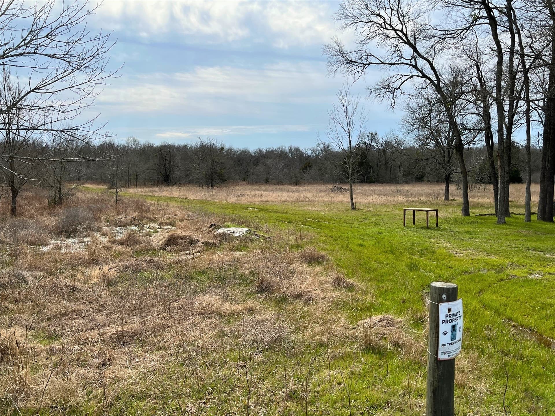 40.7 acres in Anderson County gallery image 4