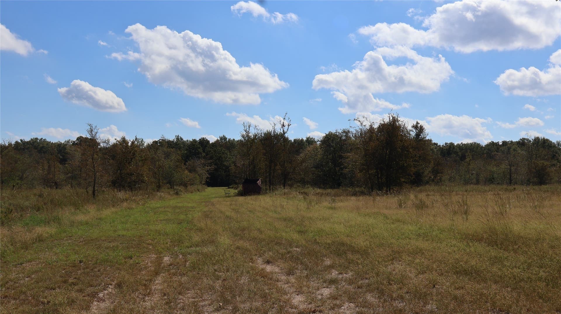 40.7 acres in Anderson County - photo 8