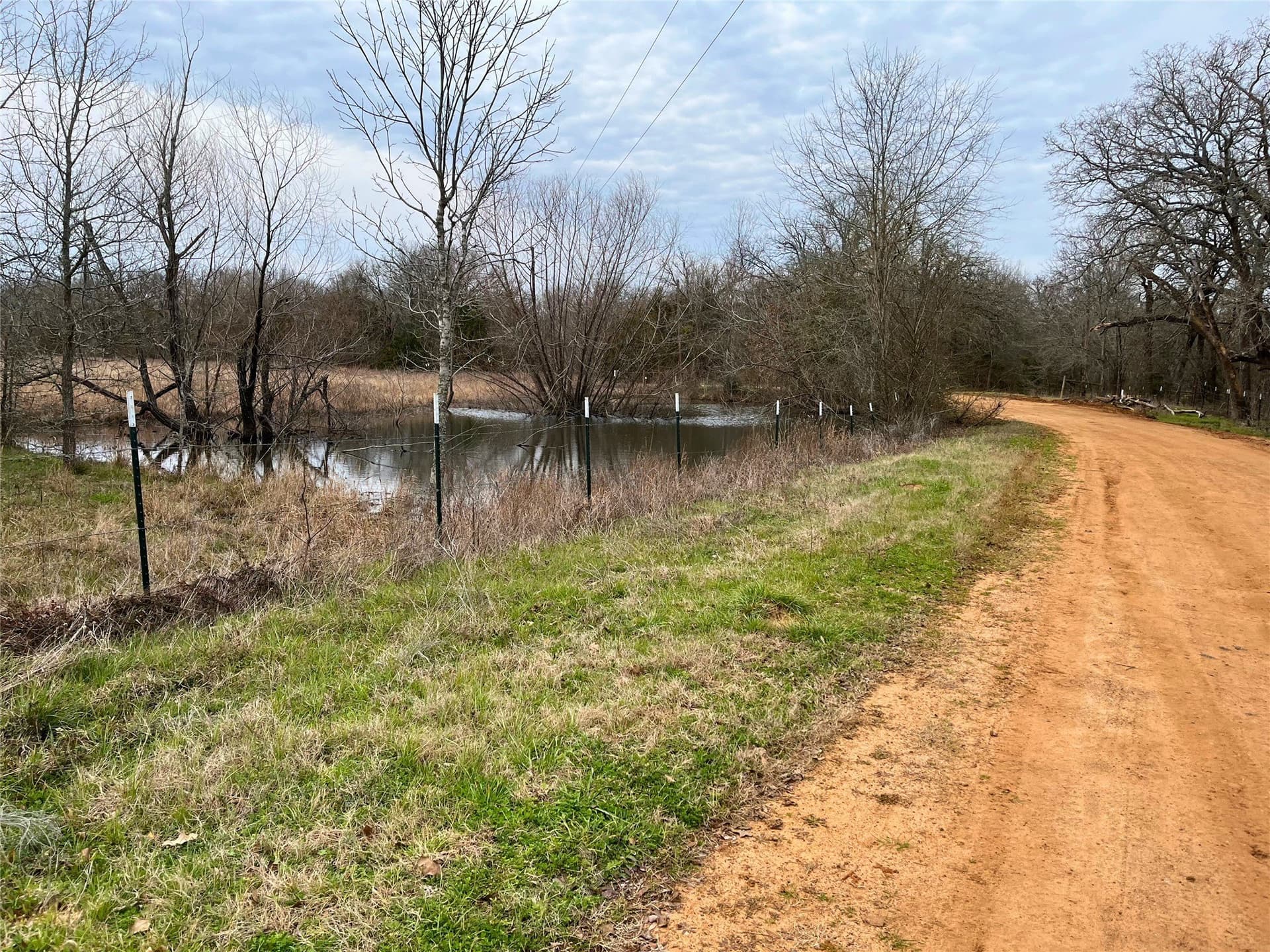 40.7 acres in Anderson County gallery image 2