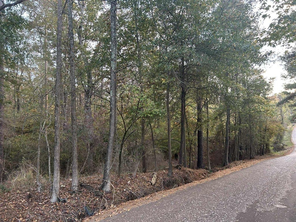 55.45 acres in Texas County gallery image 2