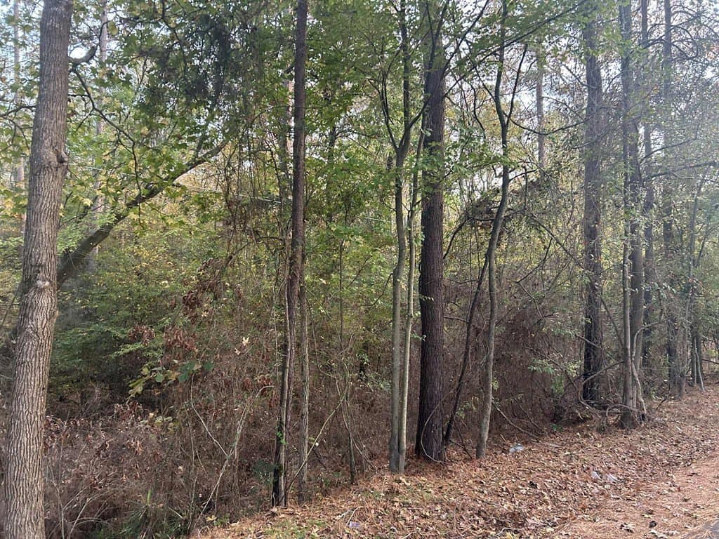 55.45 acres in Texas County gallery image 3