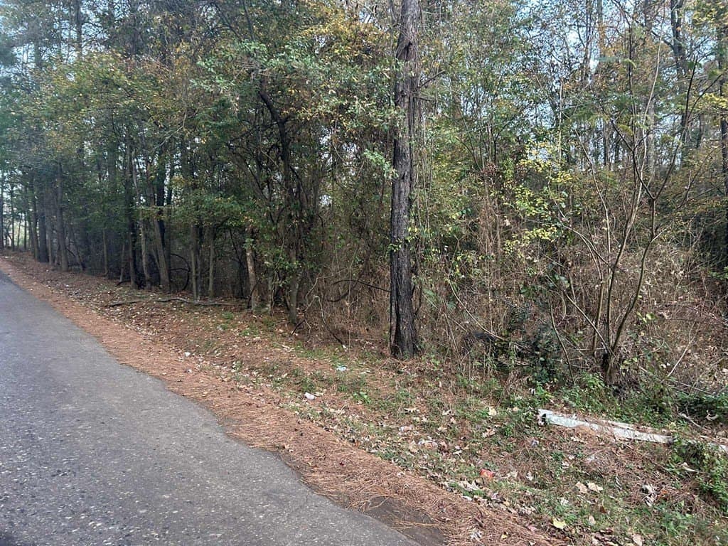 55.45 acres in Texas County gallery image 4