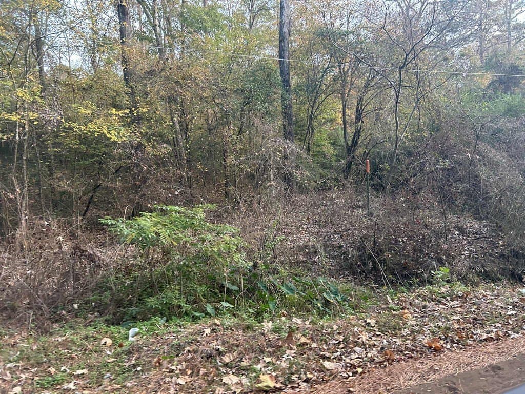 55.45 acres in Texas County featured view