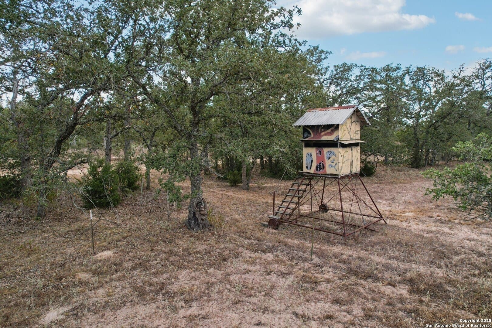 80 acres in Guadalupe County - photo 11