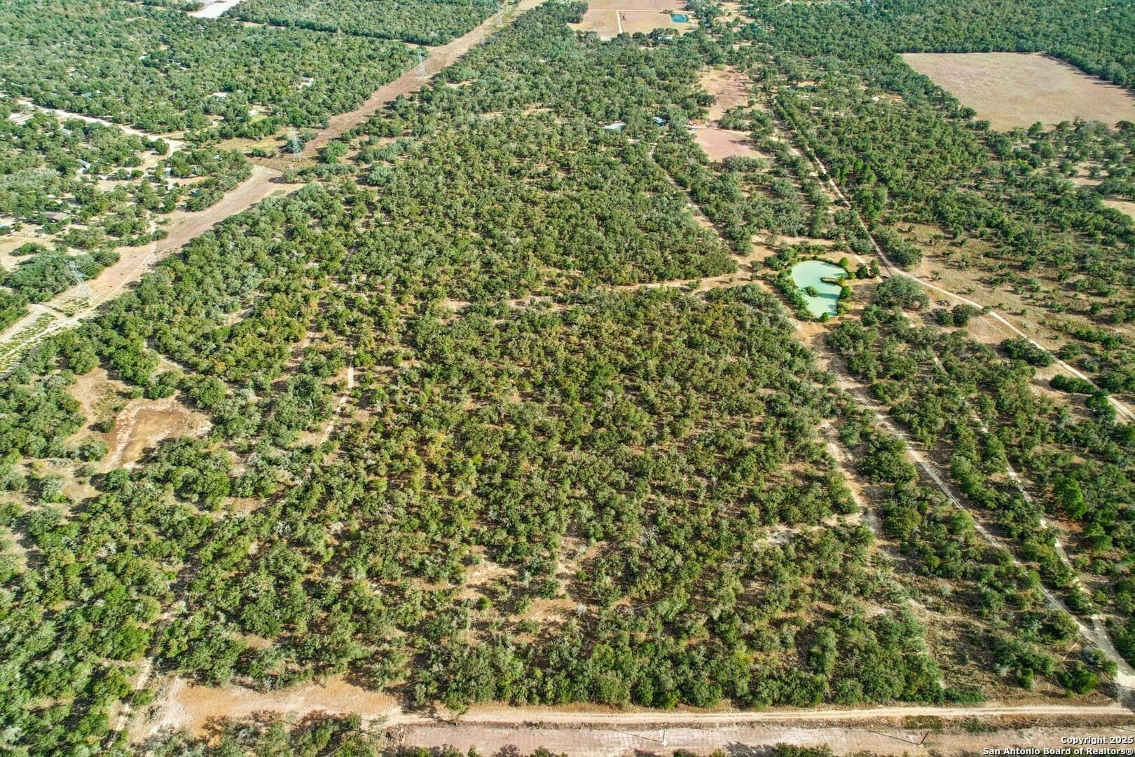 80 acres in Guadalupe County gallery image 3