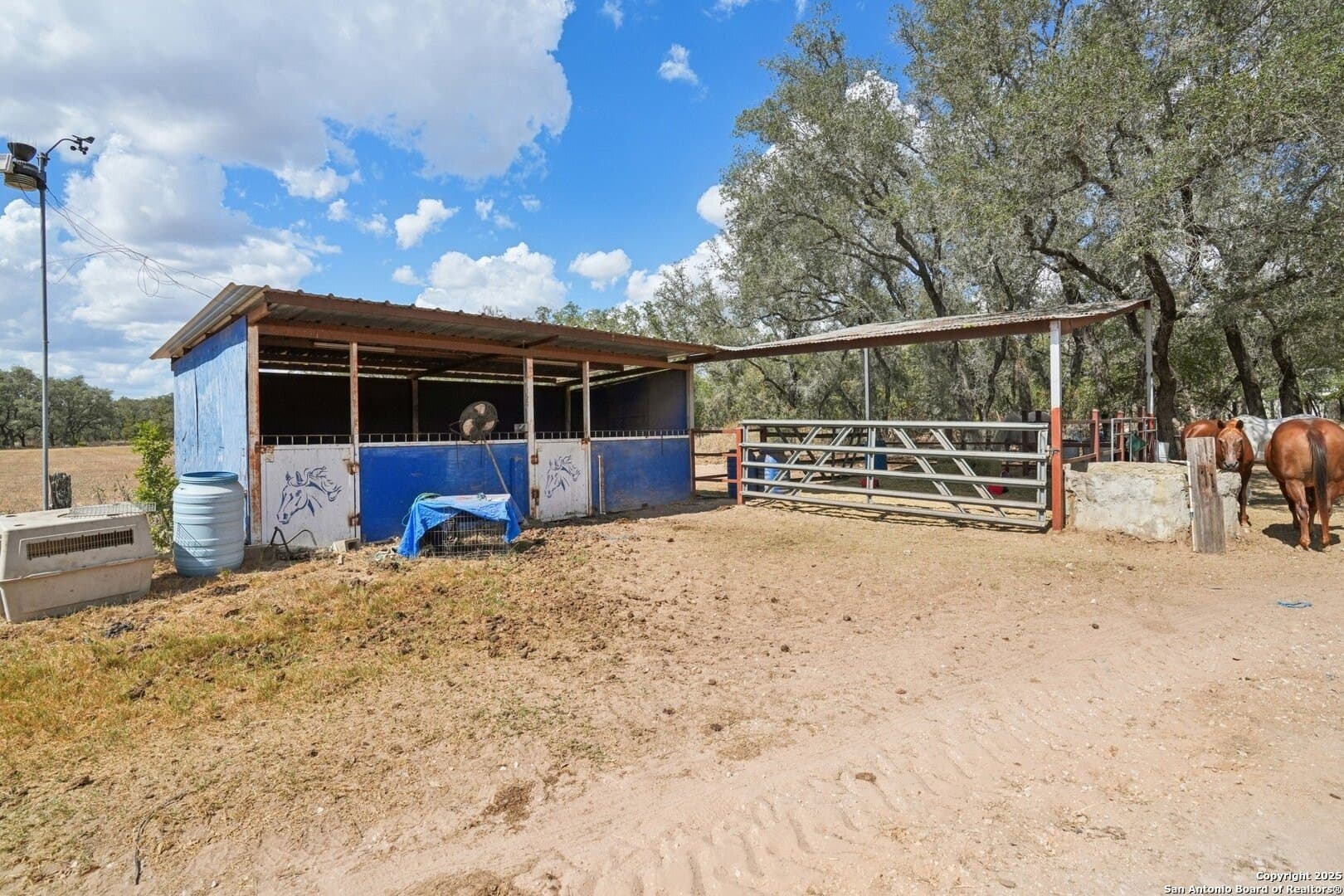 80 acres in Guadalupe County - photo 42