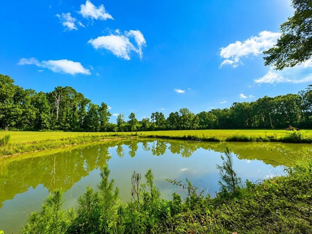 18.83 acres in Texas County - photo 28