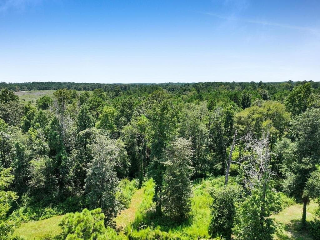 18.83 acres in Texas County - photo 29