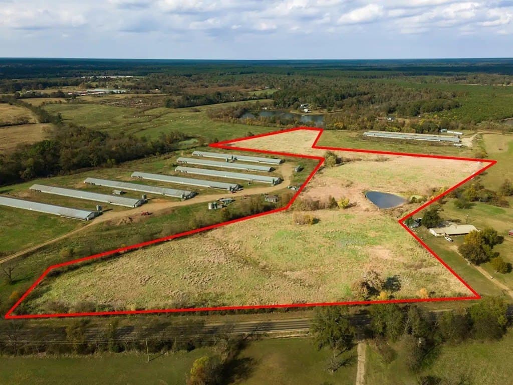 20 acres in Texas County gallery image 2