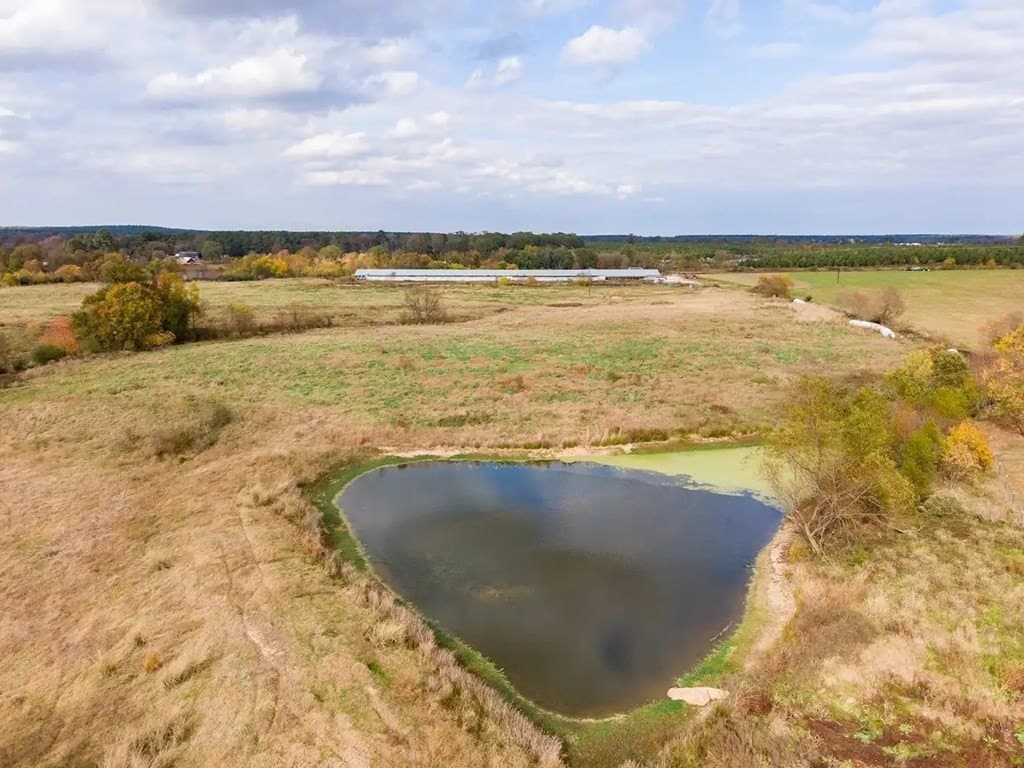 20 acres in Texas County gallery image 3