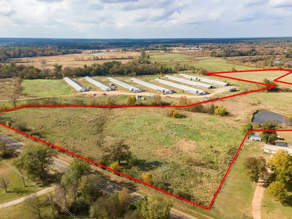 20 acres in Texas County - photo 8