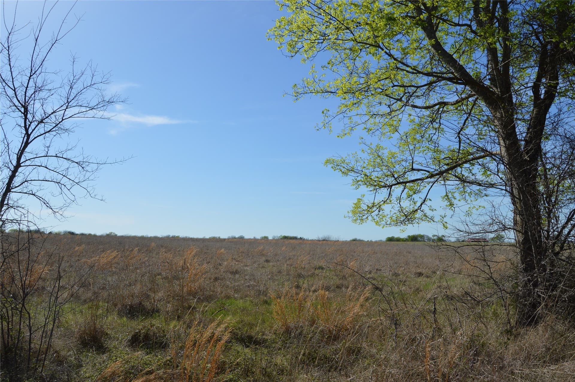 3 acres in Rains County