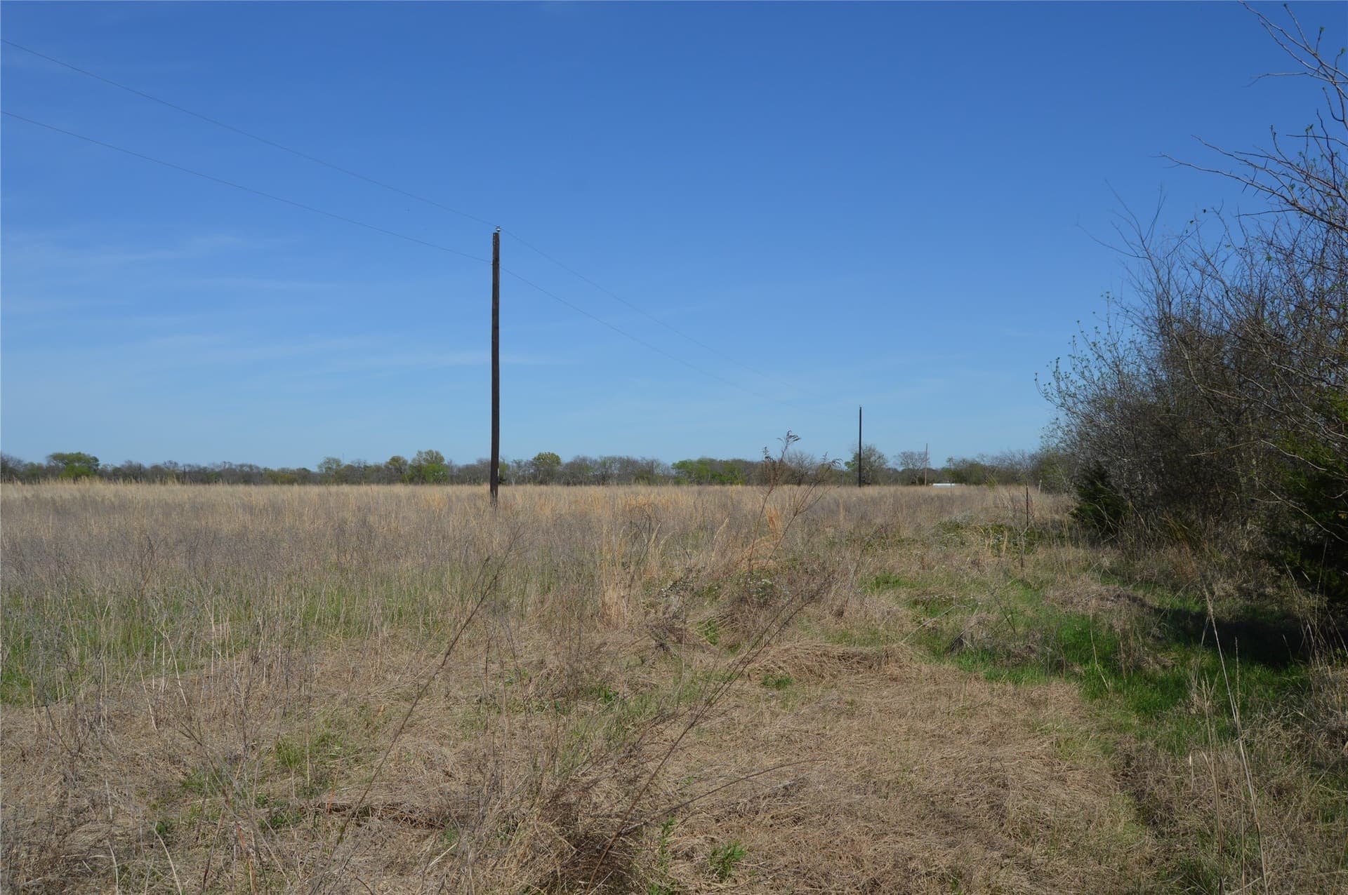 3 acres in Rains County - photo 24