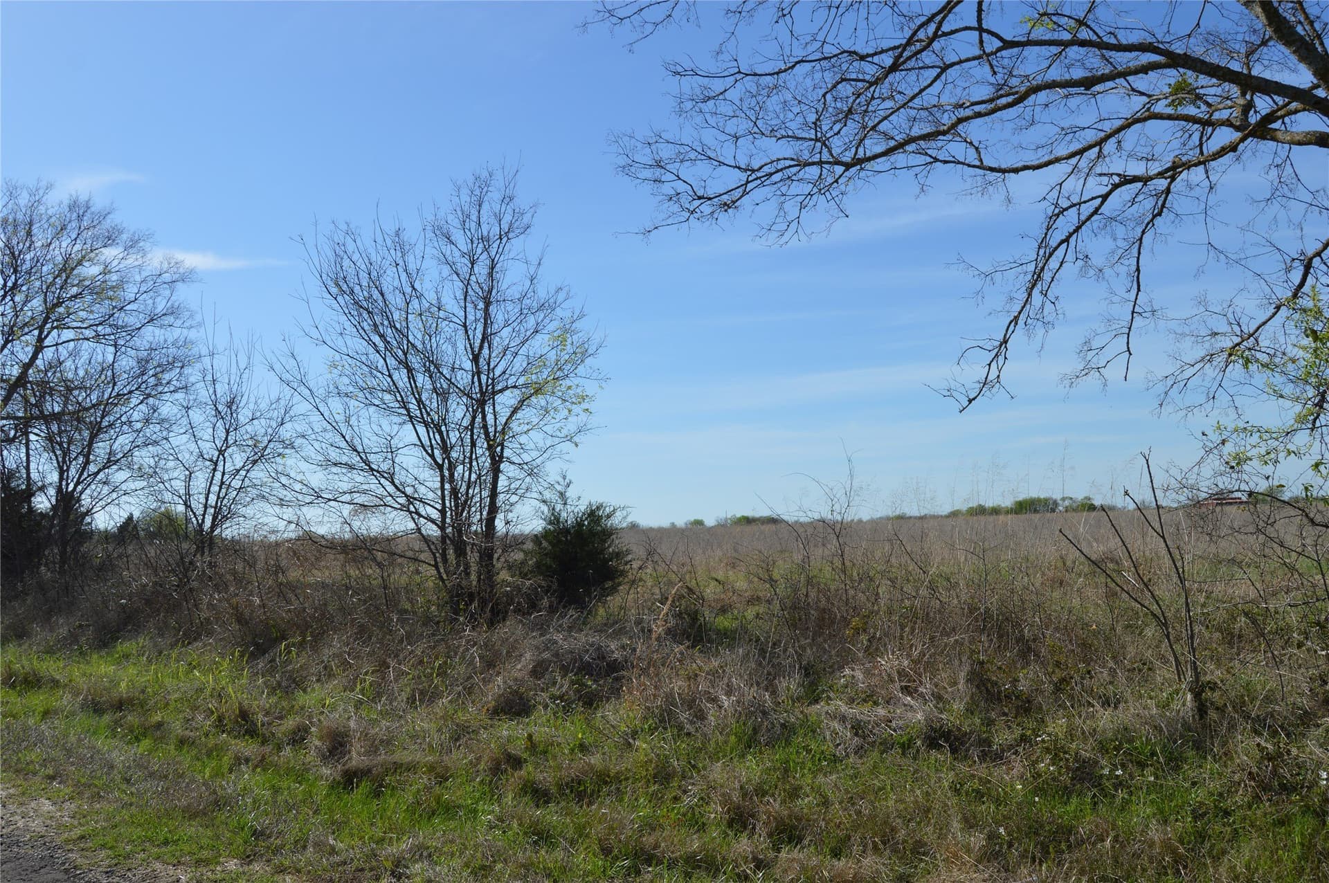 3 acres in Rains County featured view