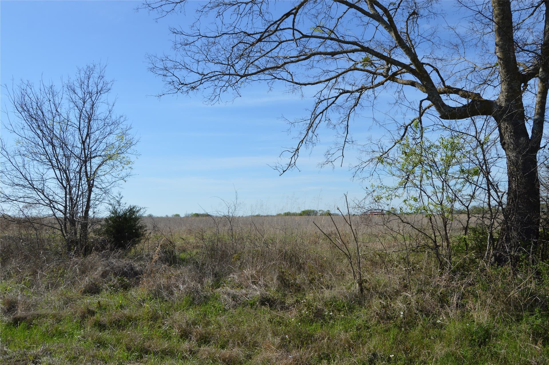3 acres in Rains County - photo 6