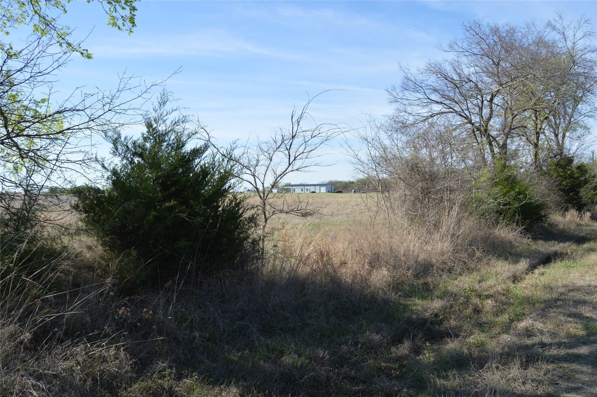 3 acres in Rains County gallery image 2