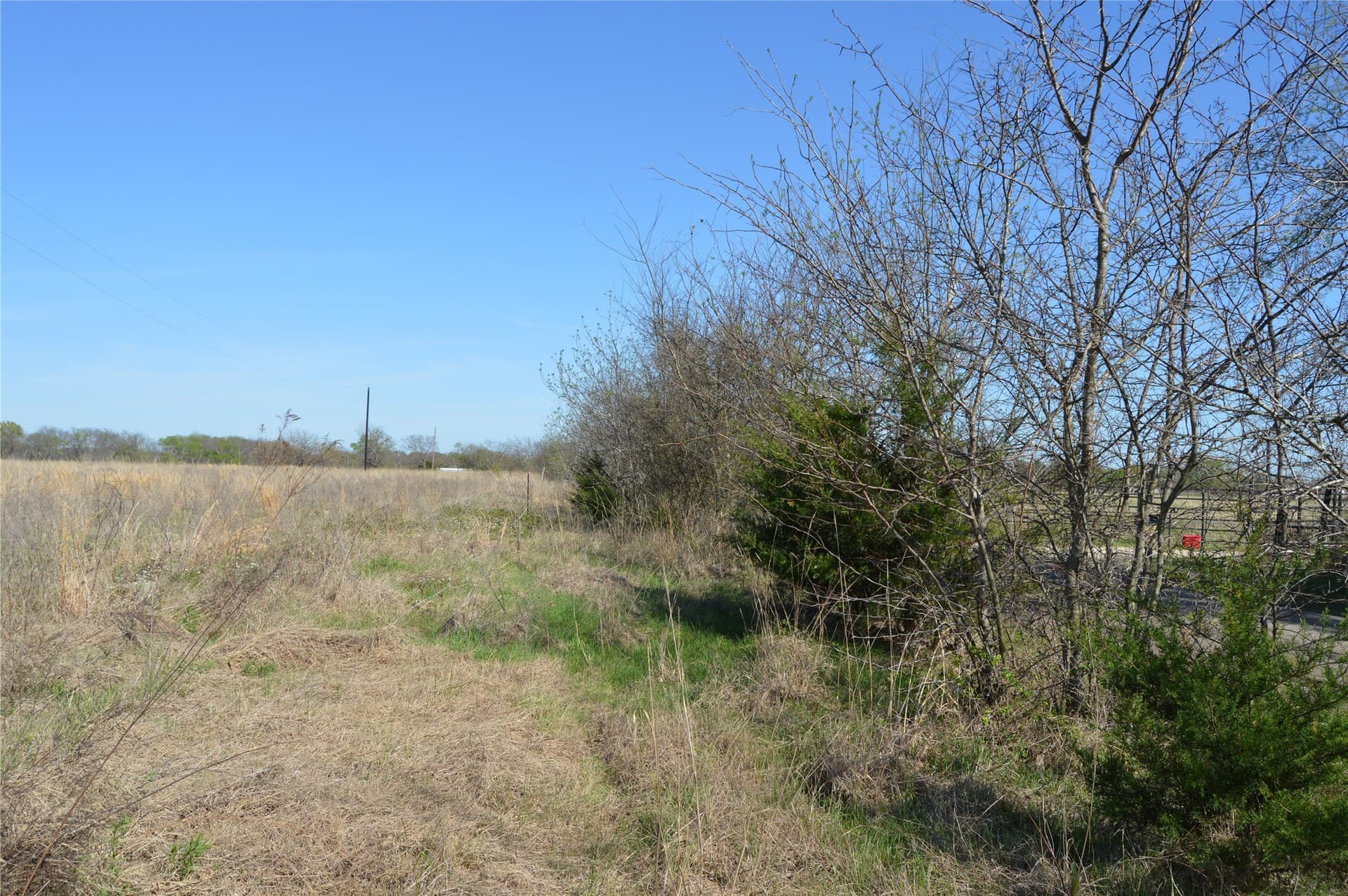 3 acres in Rains County - photo 25