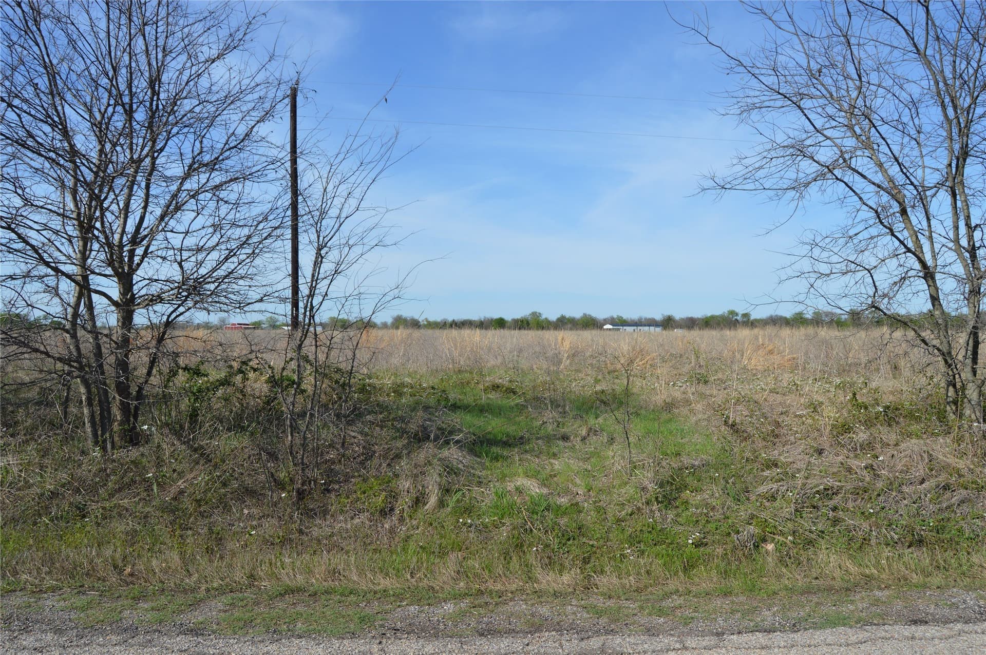 3 acres in Rains County - photo 17