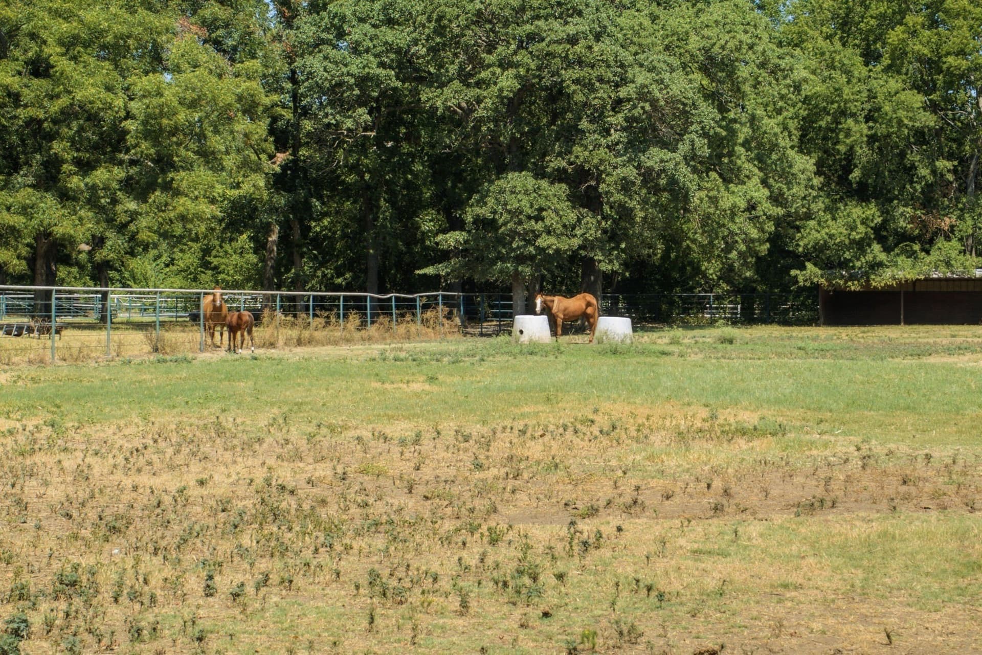 92 acres in Cooke County - photo 26