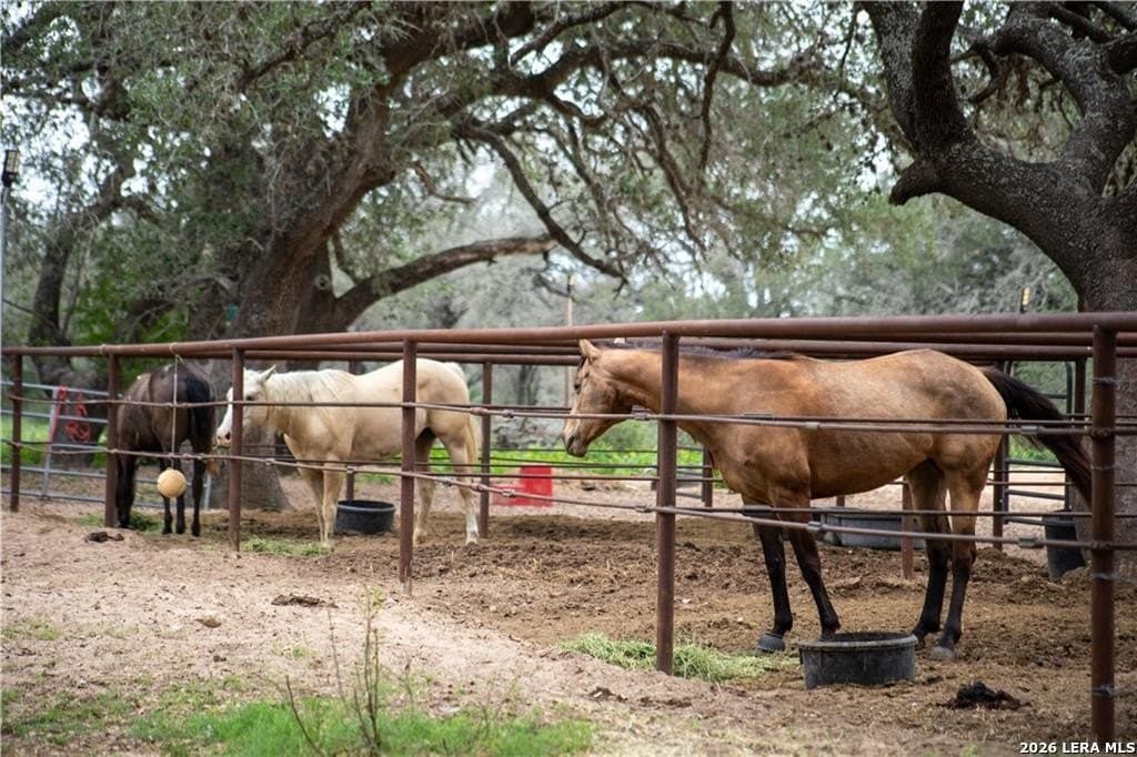 15.98 acres in Atascosa County gallery image 4