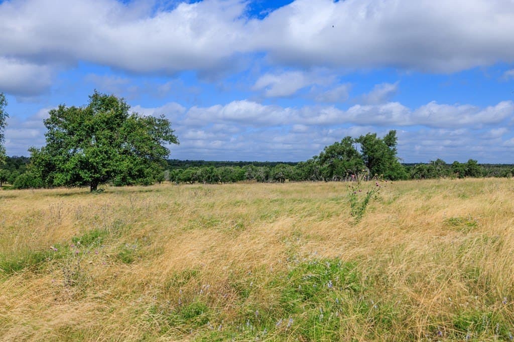 20.09 acres in Gillespie County gallery image 3