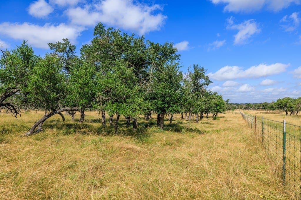 20.09 acres in Gillespie County featured view