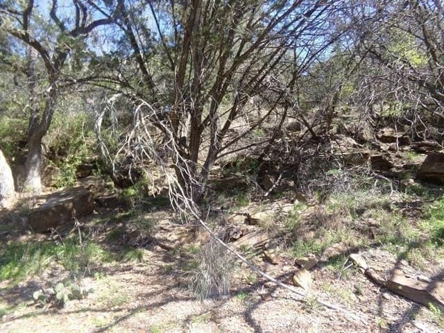 0.02 acres in Burnet County - photo 4
