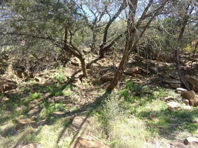 0.02 acres in Burnet County - photo 3
