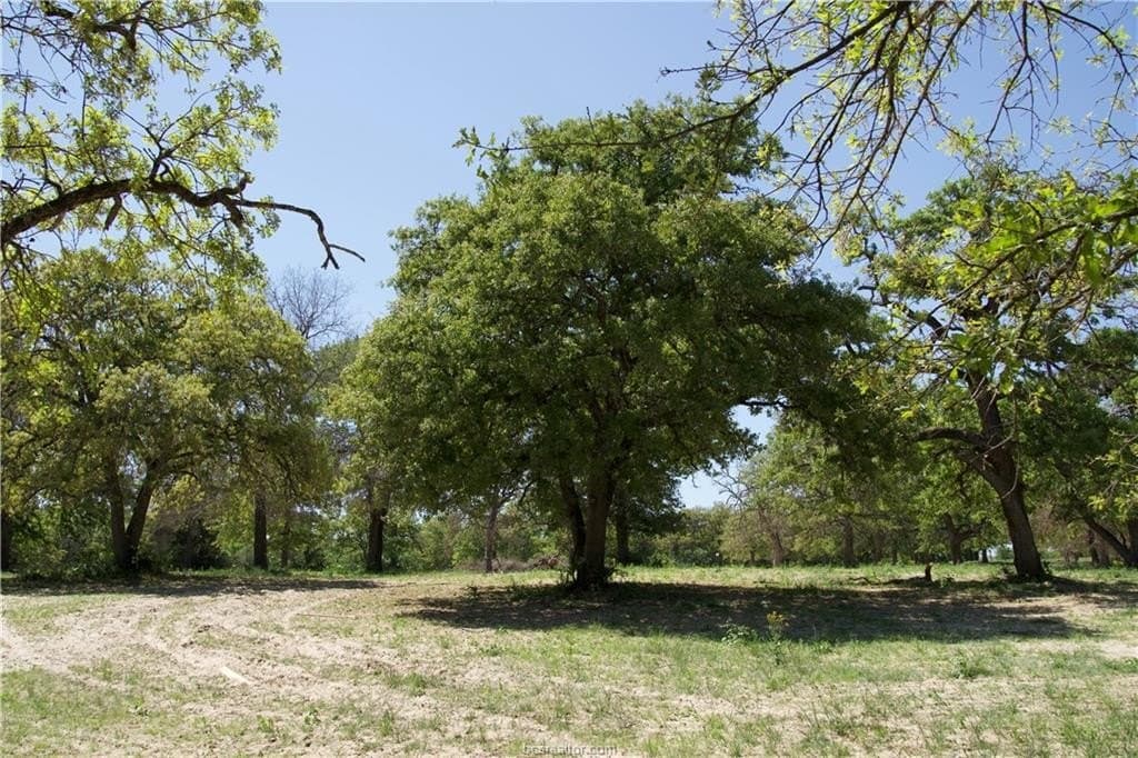 10 acres in Bastrop County - photo 11