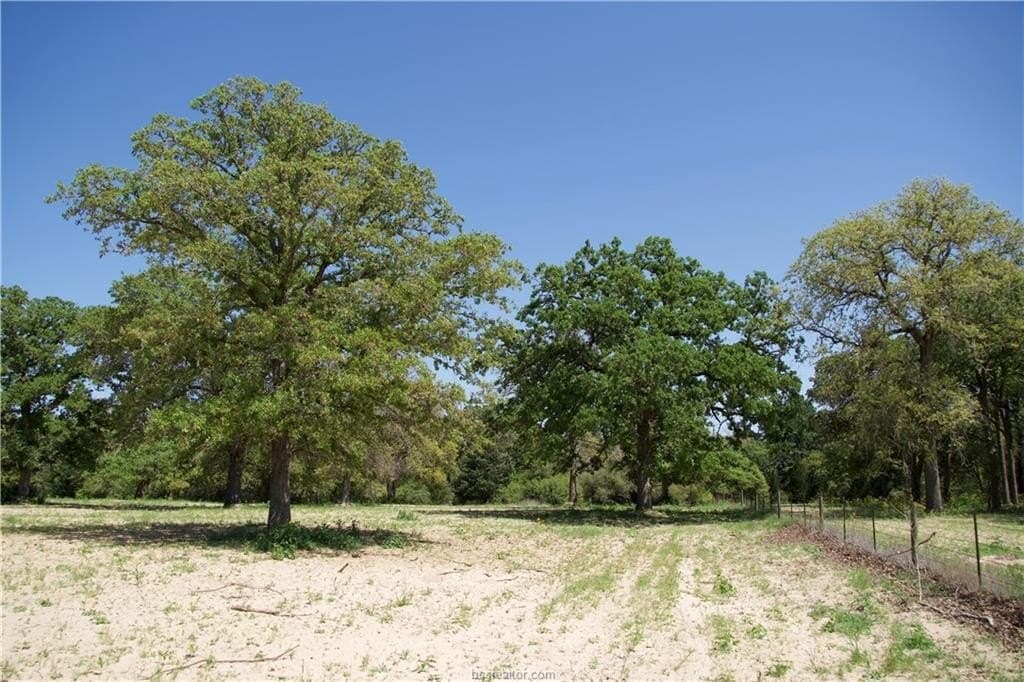 10 acres in Bastrop County - photo 10