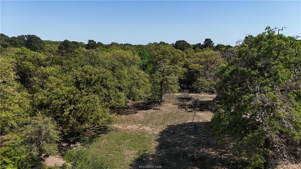 10 acres in Bastrop County - photo 12