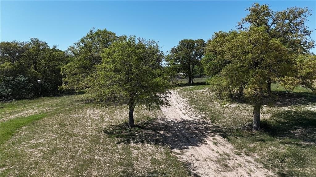 10 acres in Bastrop County - photo 13