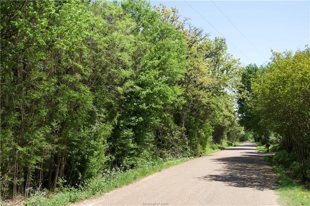 10 acres in Bastrop County - photo 16